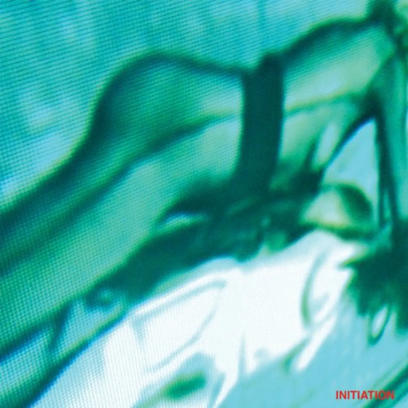 Haunted Hearts Initiation Vinyl Record