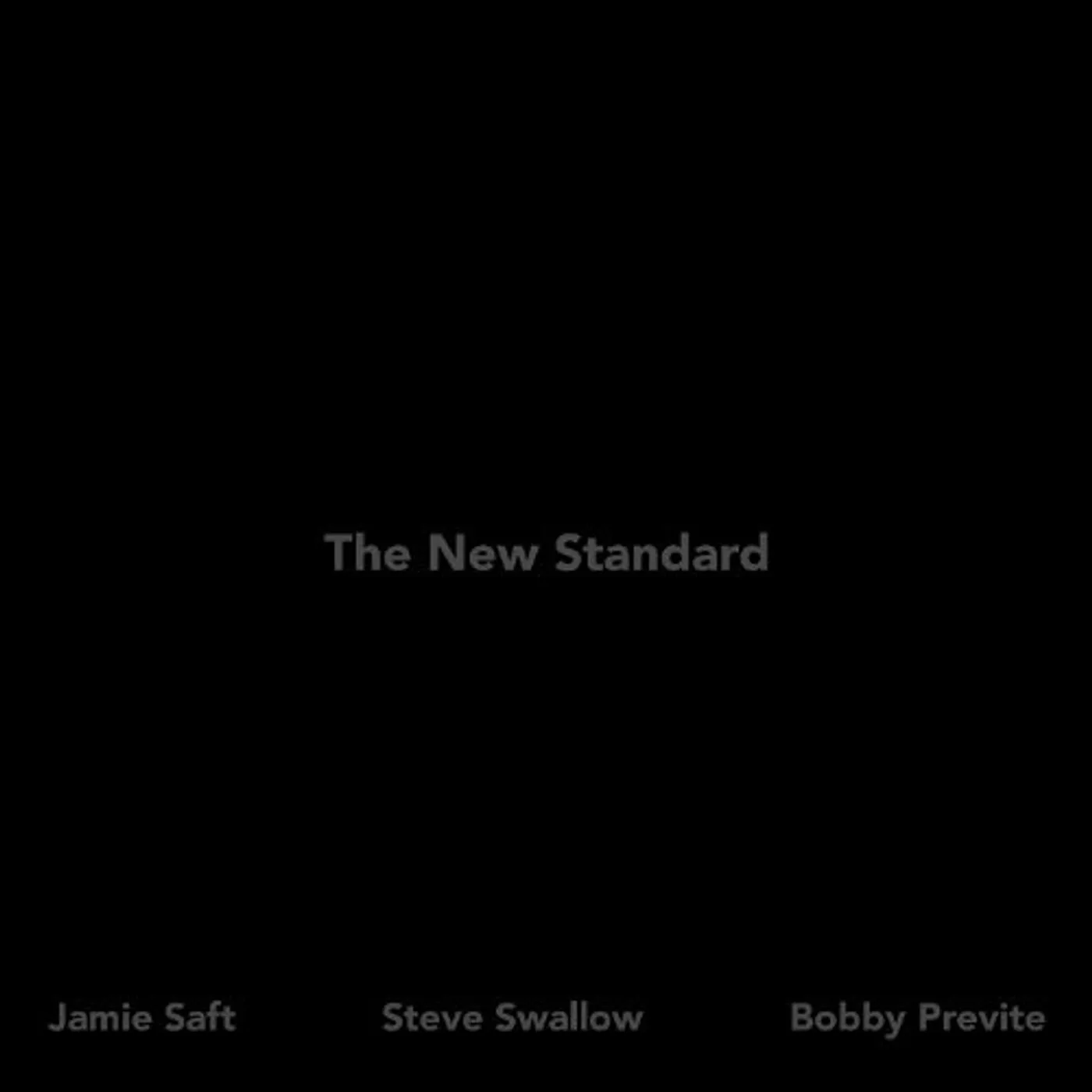 Jamie Saft NEW STANDARD Vinyl Record