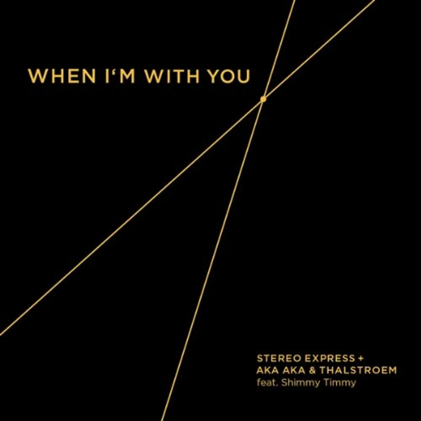 Stereo Express + Aka Aka & Thalstroem WHEN IM WITH YOU Vinyl Record