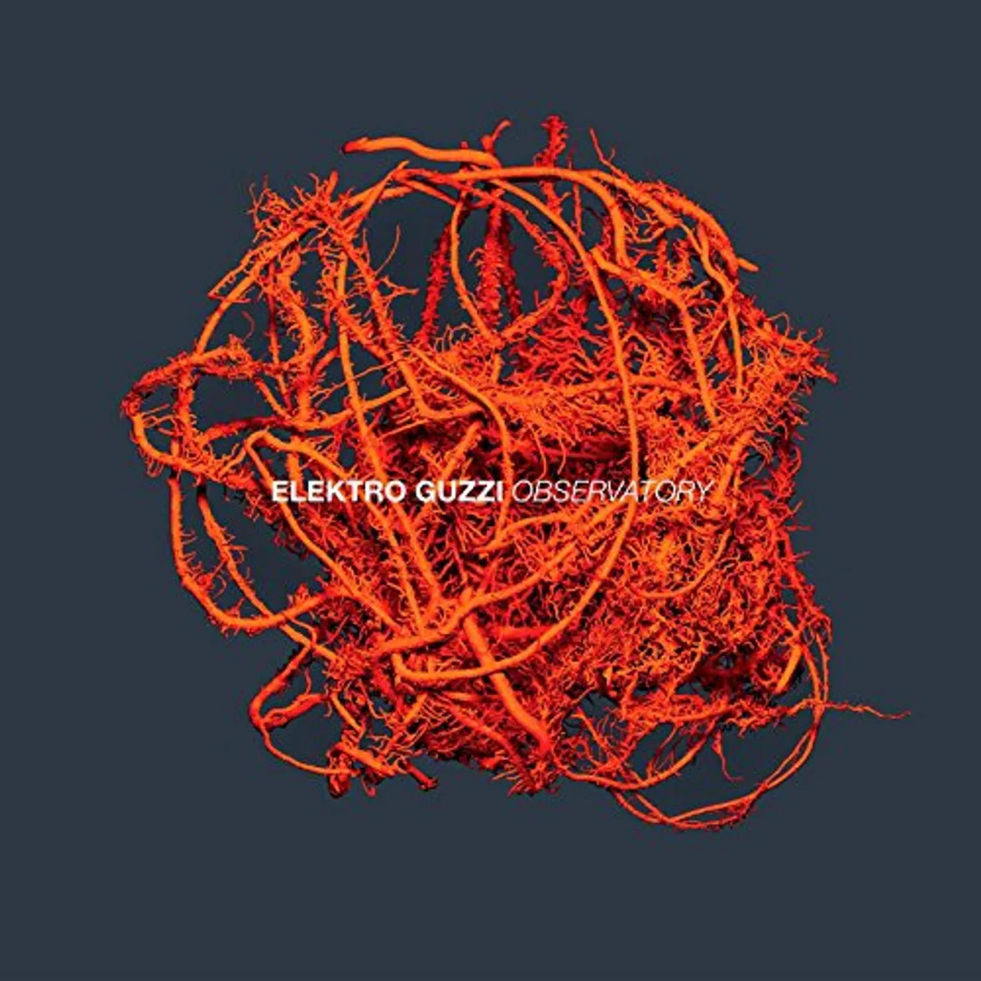 Elektro Guzzi Observatory Vinyl Record