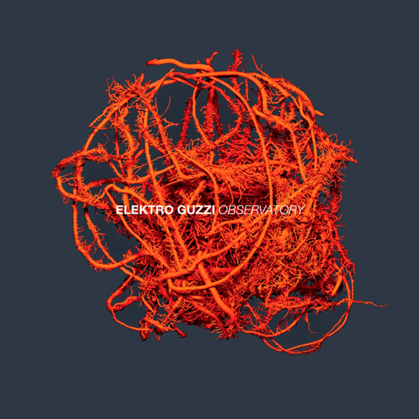 Elektro Guzzi OBSERVATORY CD