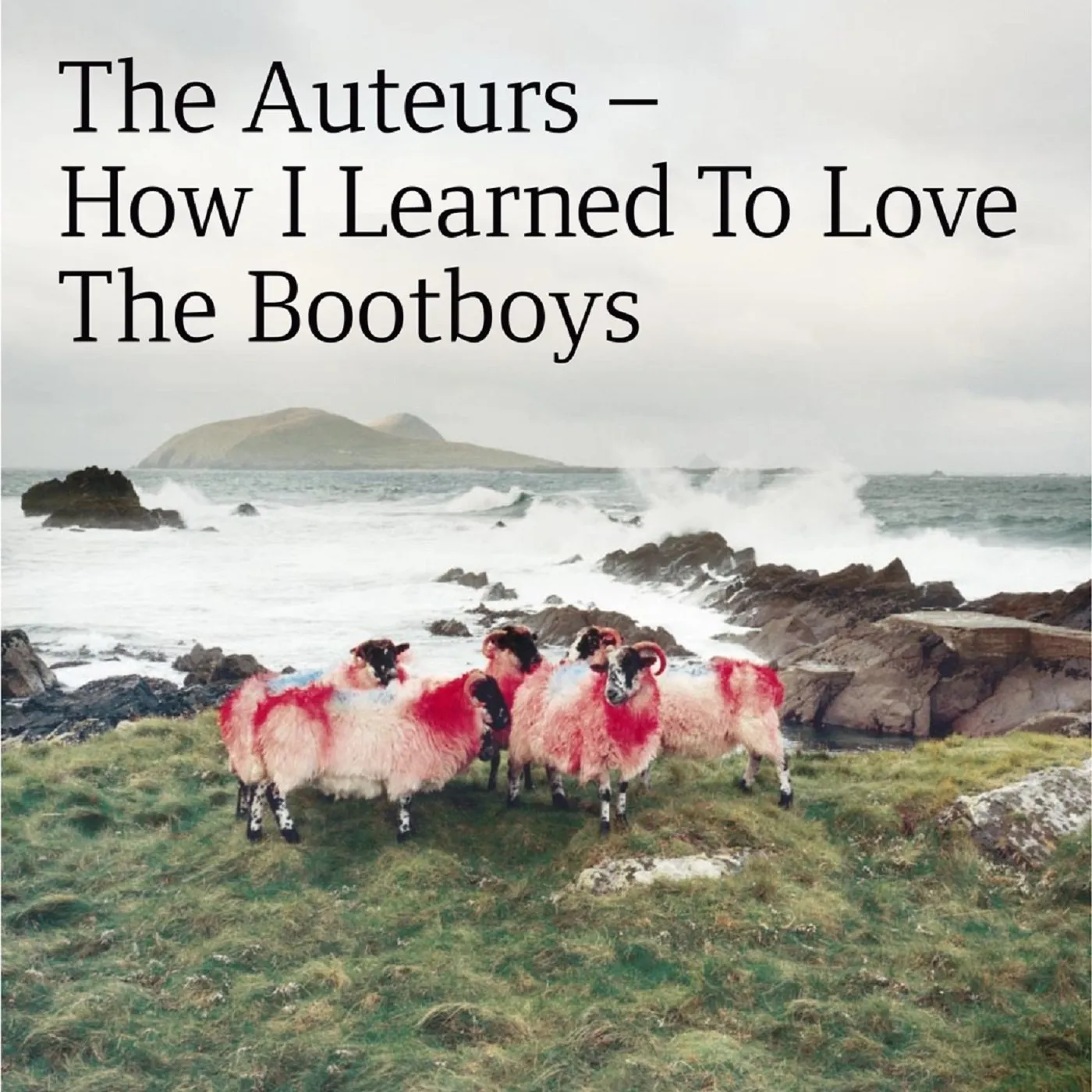 The Auteurs HOW I LEARNED TO LOVE THE BOOTBOYS CD