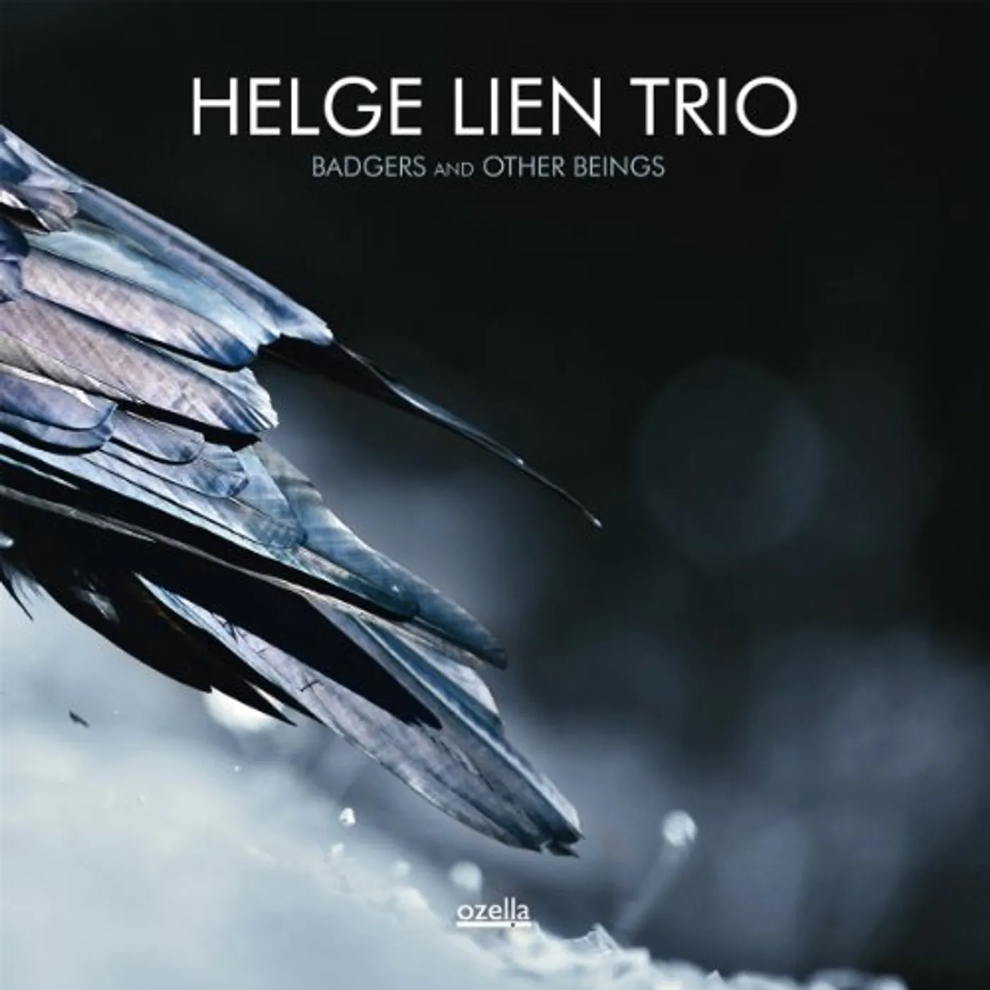 Helge Lien BADGERS & OTHER BEINGS CD