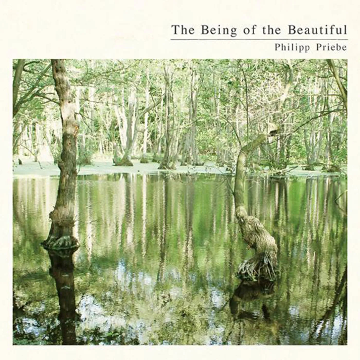 Philipp Priebe BEING OF THE BEAUTIFUL CD