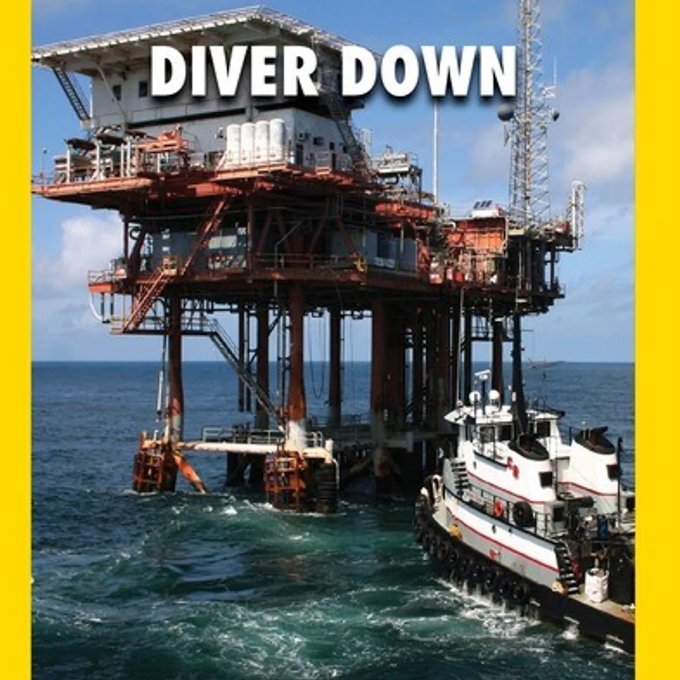 DIVER DOWN DVD