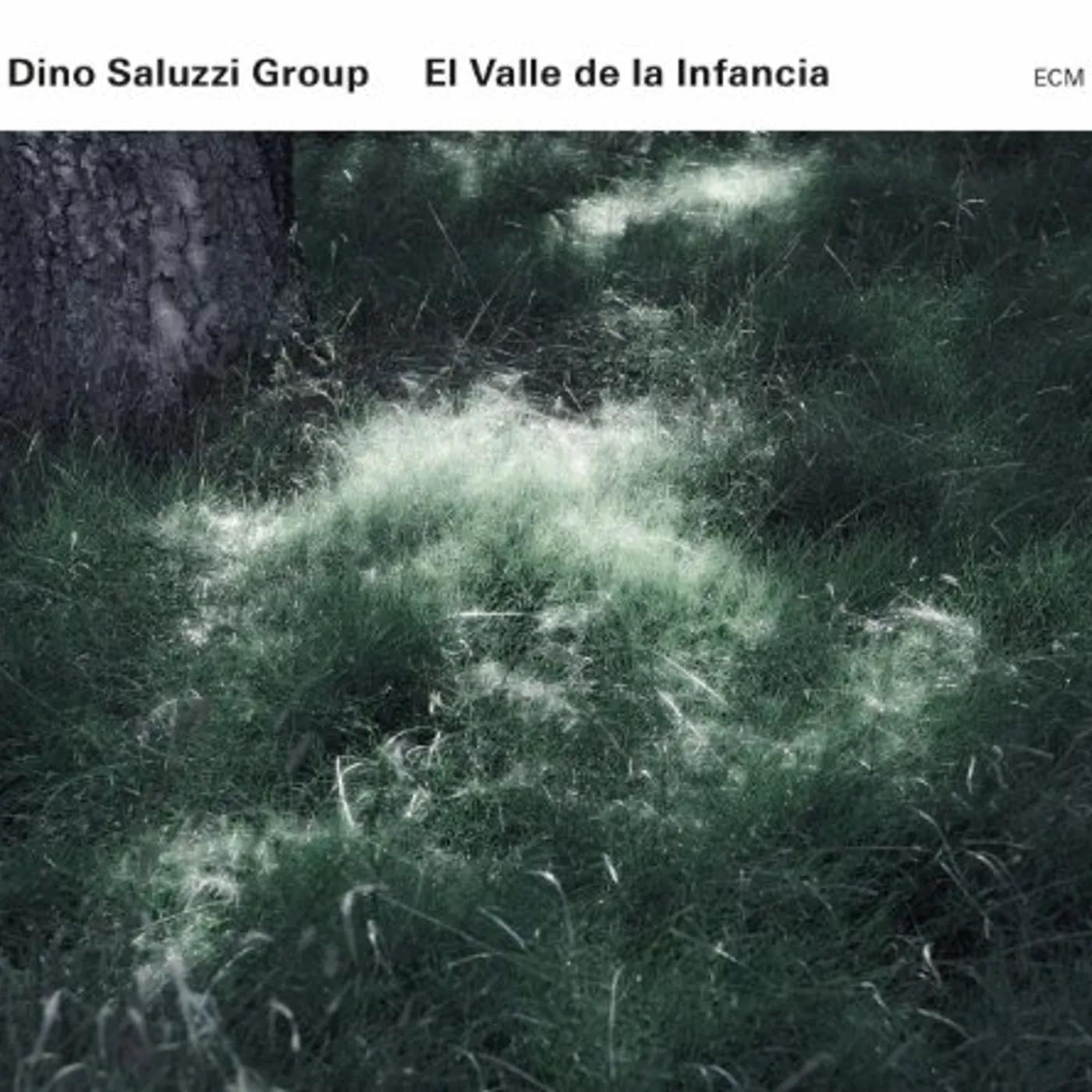 Dino Saluzzi EL VALLE DE LA INFANCIA CD