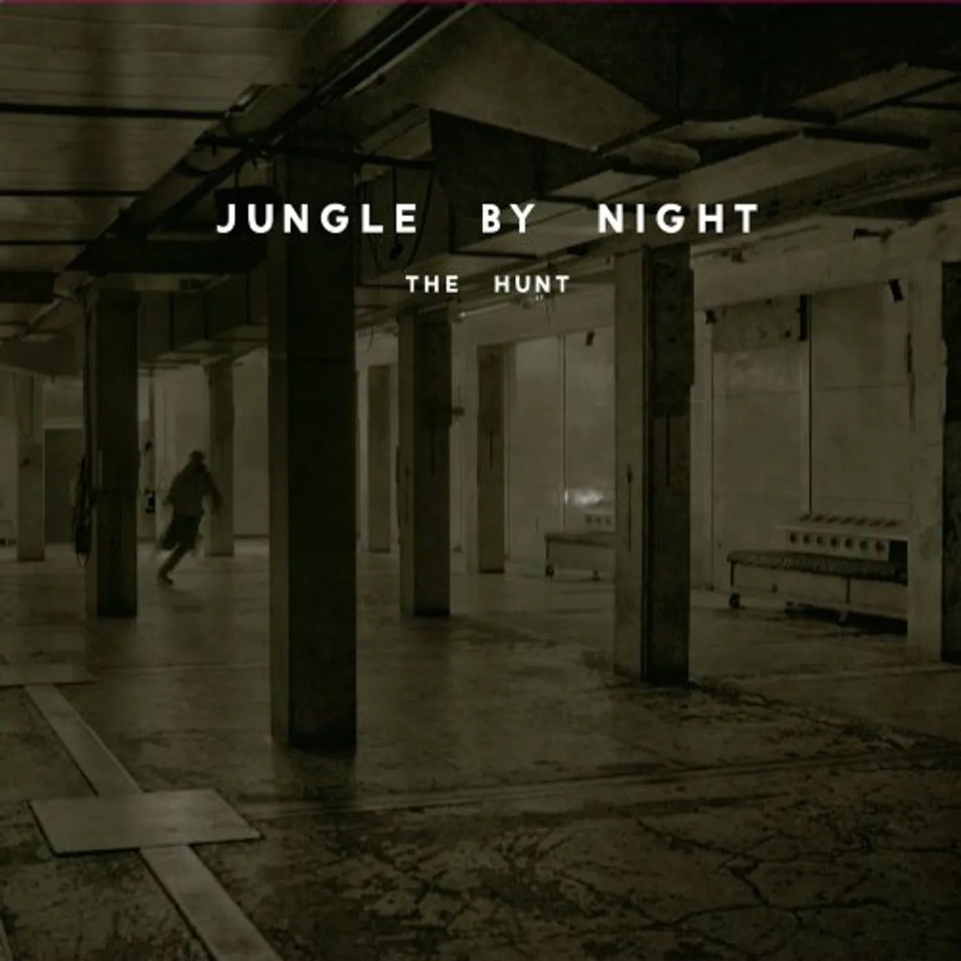 Jungle by Night HUNT CD