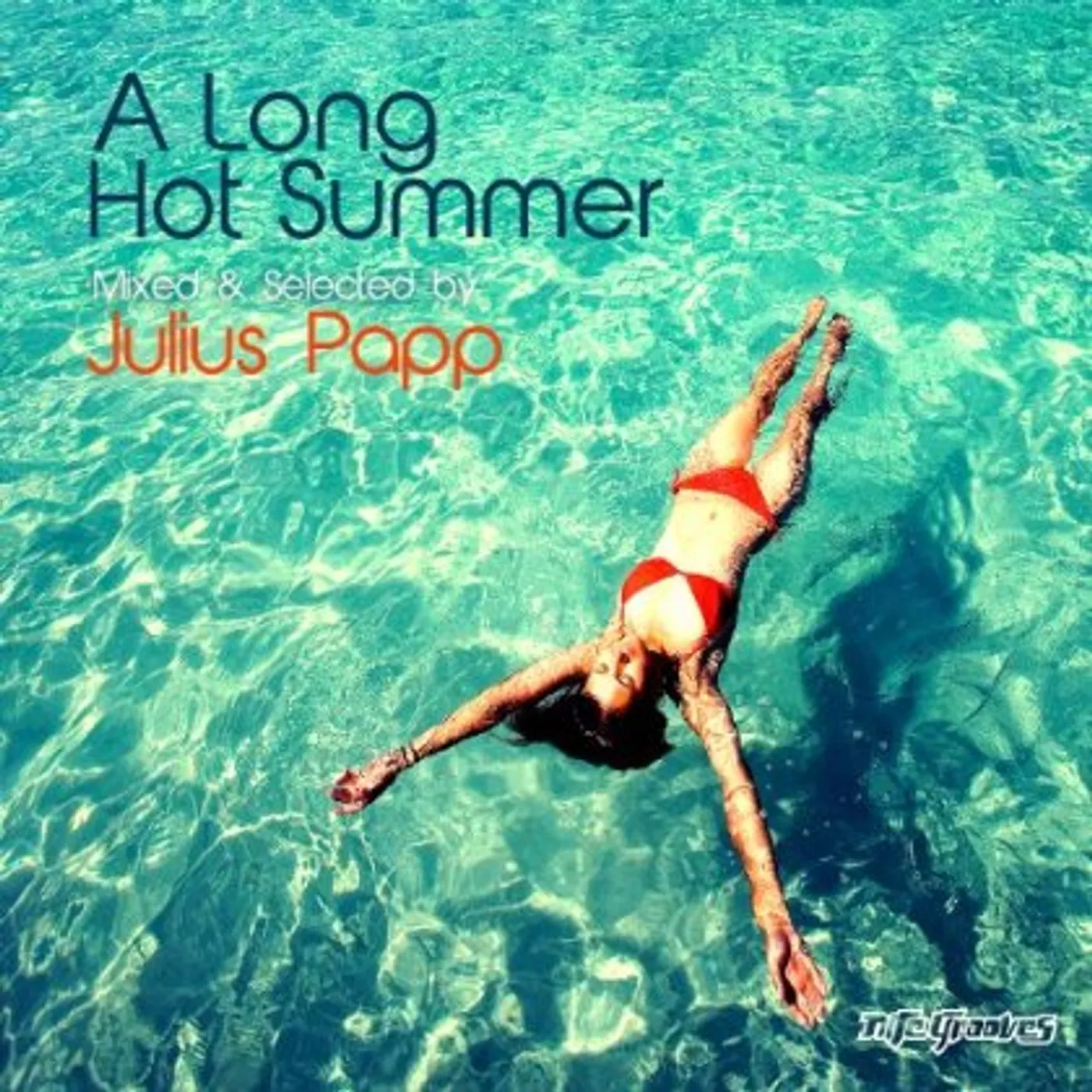 LONG HOT SUMMER CD