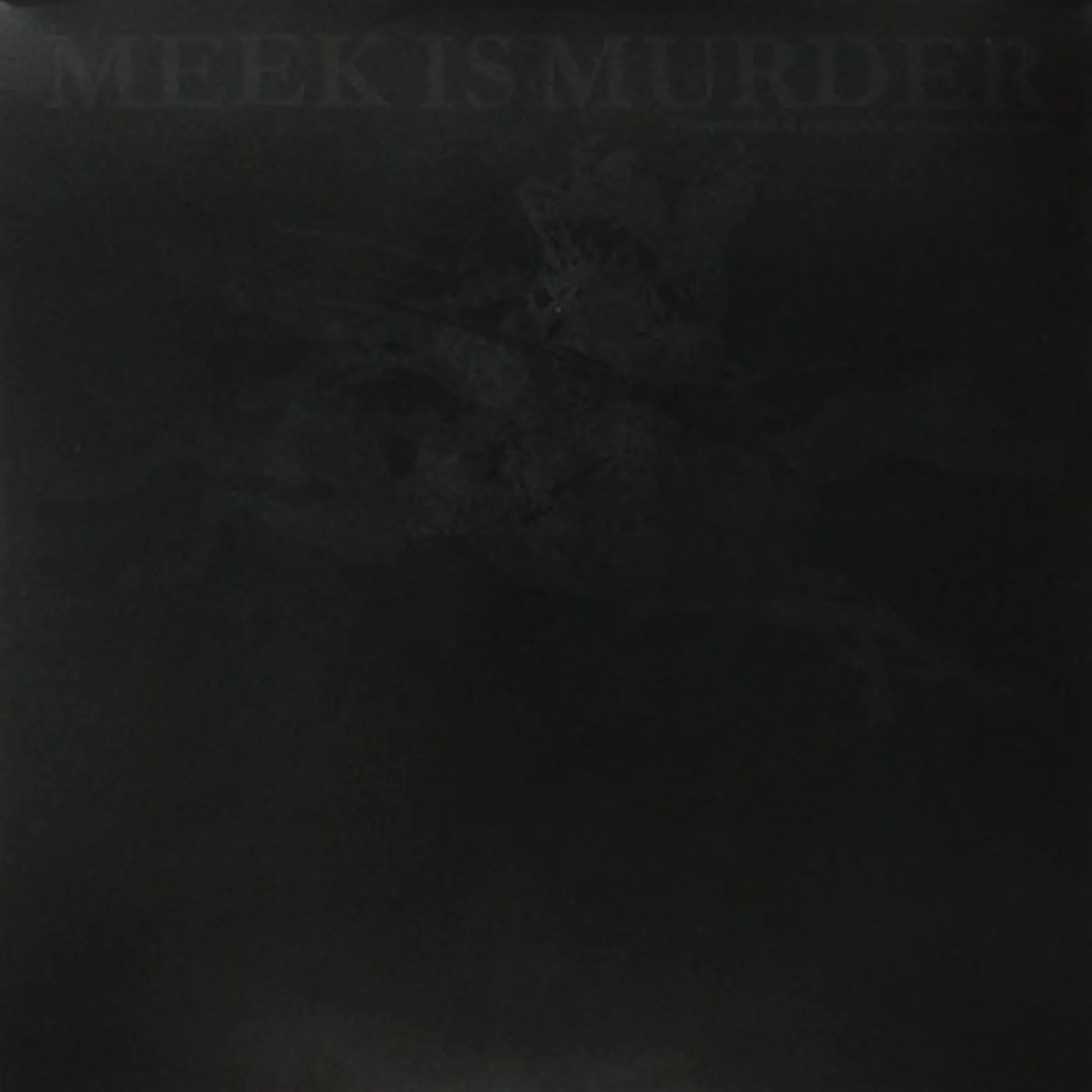 Meek is Murder Everything Is Awesome Nothing Matters Vinyl Record