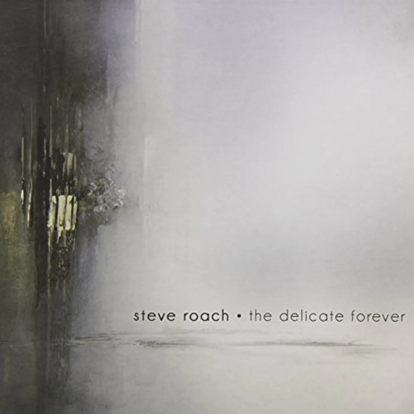 Steve Roach DELICATE FOREVER CD