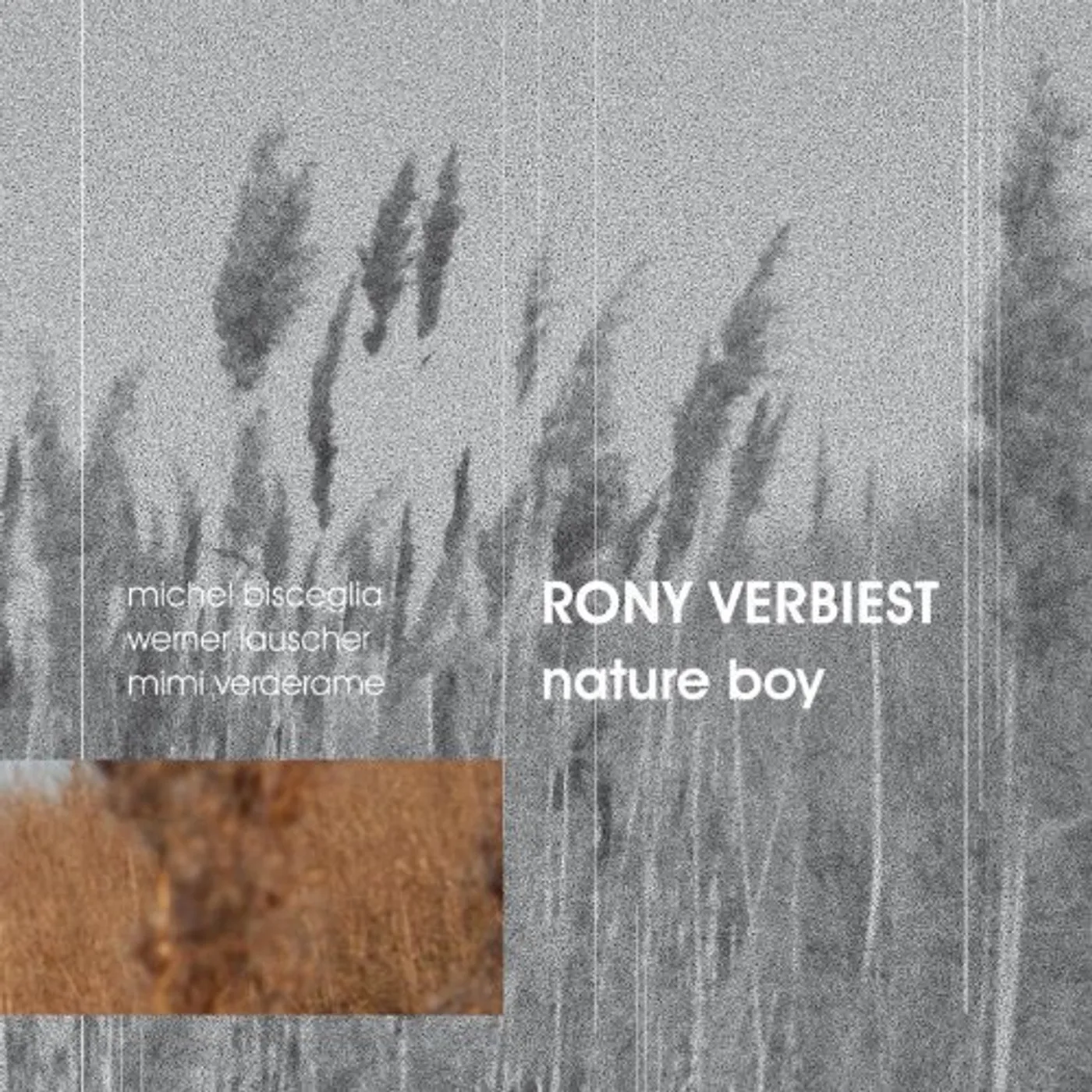 Rony Verbiest NATURE BOY CD