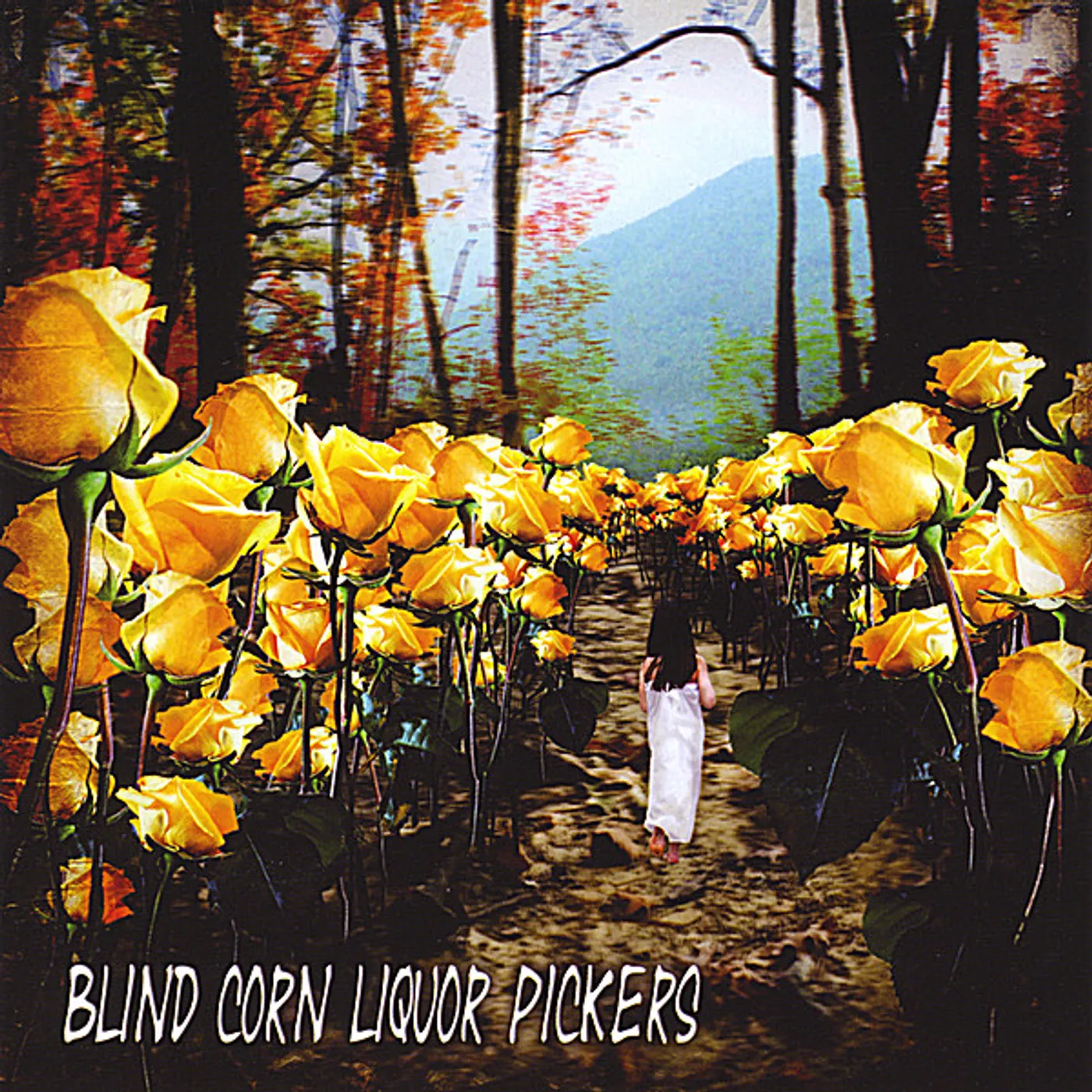 Blind Corn Liquor Pickers APPALACHIAN TRAIL CD