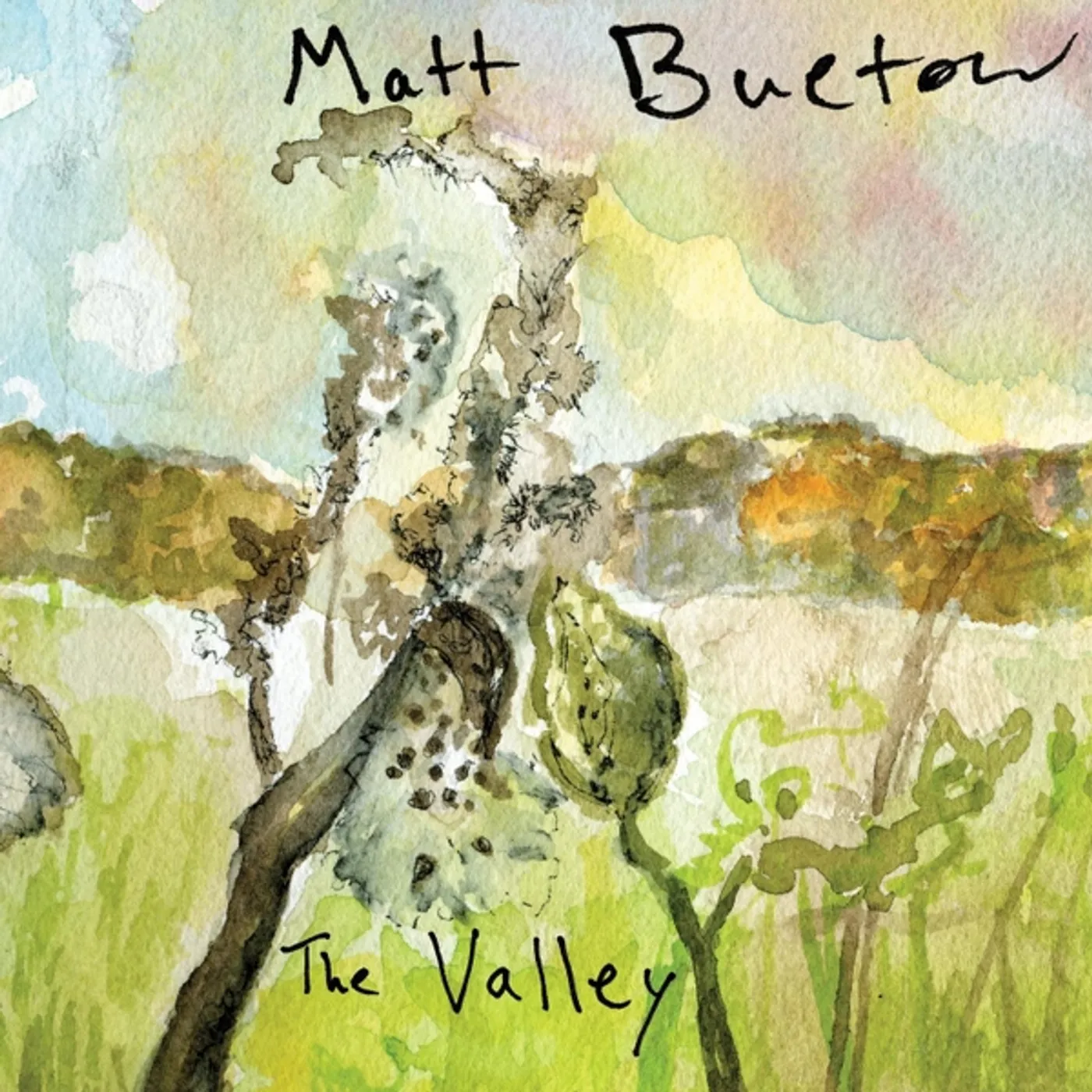 Matt Buetow VALLEY CD