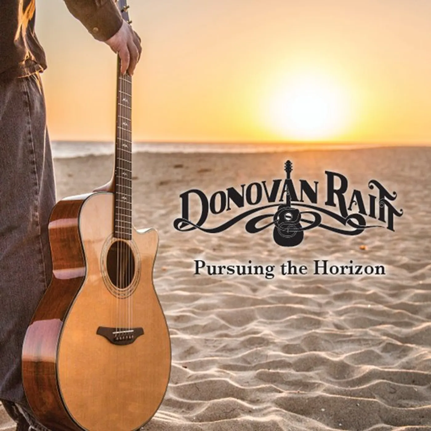 Donovan Raitt PURSUING THE HORIZON CD