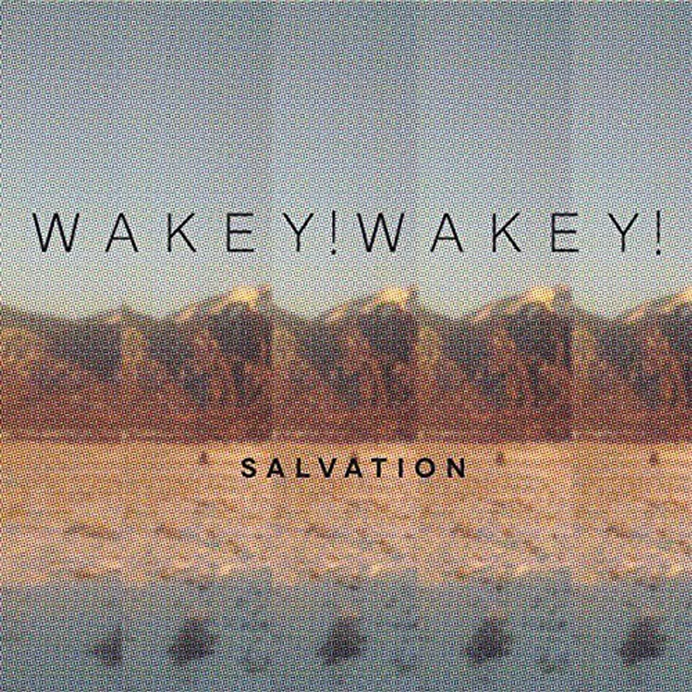 Wakey!Wakey! Salvation Vinyl Record