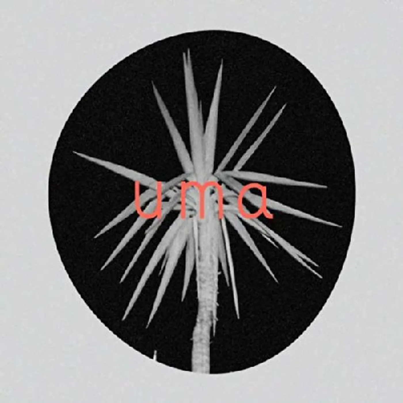 UMA CD