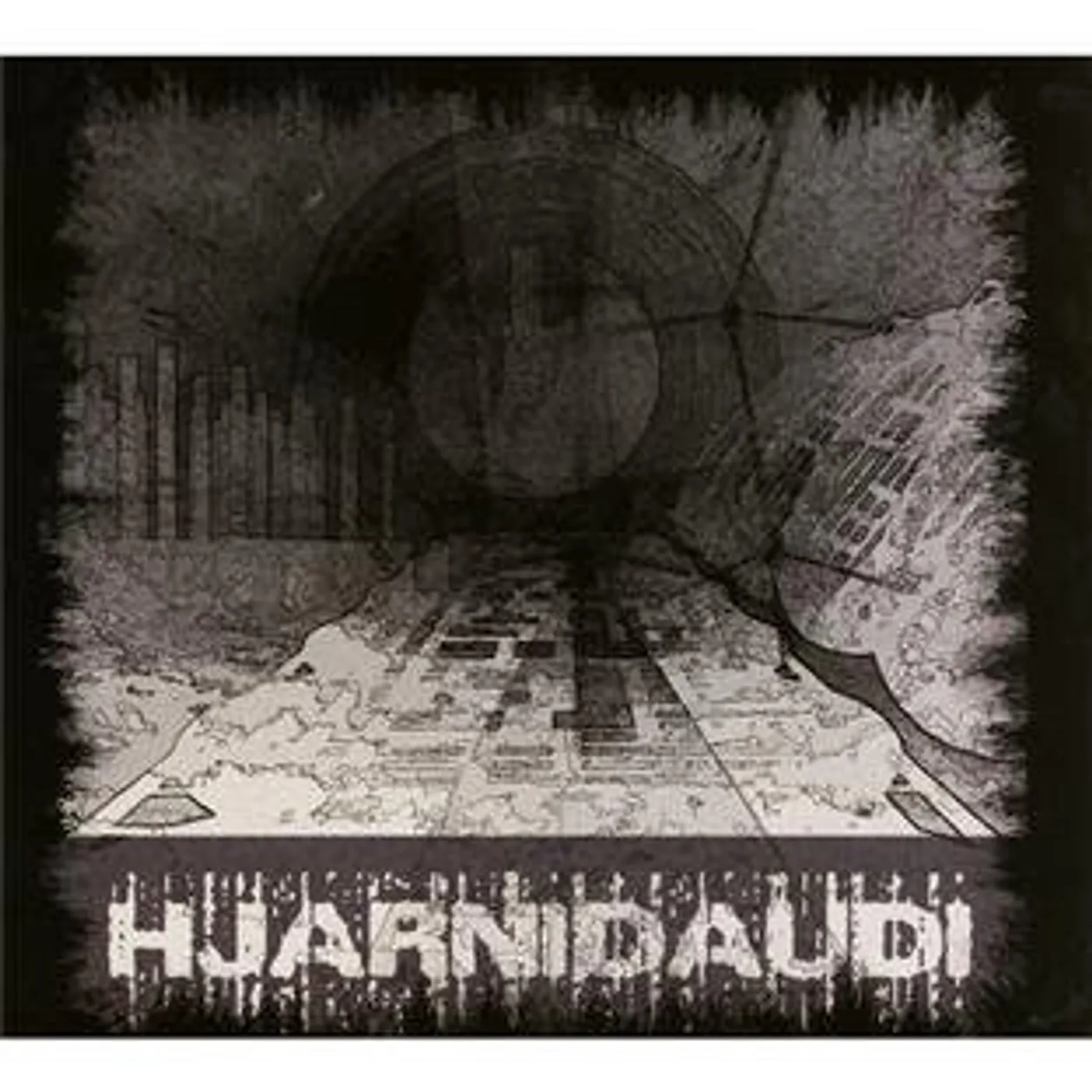 HJARNIDAUDI PSYKOSTAREVOID CD