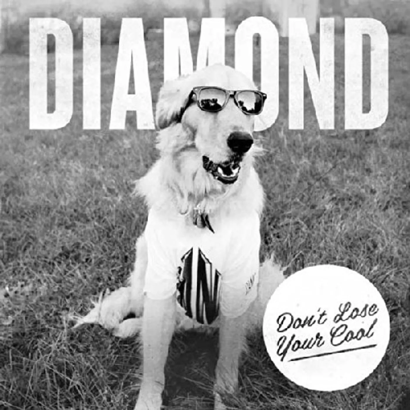 Diamond Youth DON'T LOSE YOUR COOL Vinyl Record - UK Release