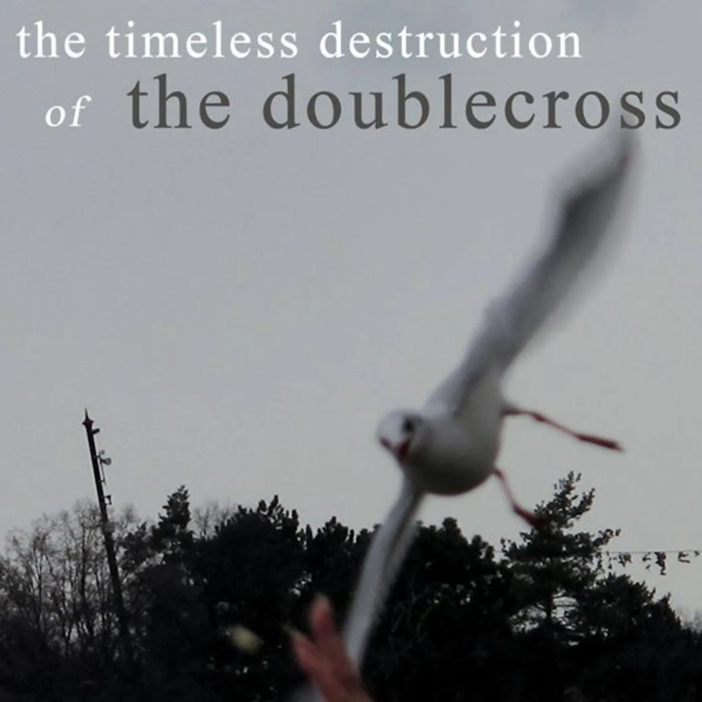 TIMELESS DESTRUCTION OF THE DOUBLECROSS Vinyl Record - UK Release