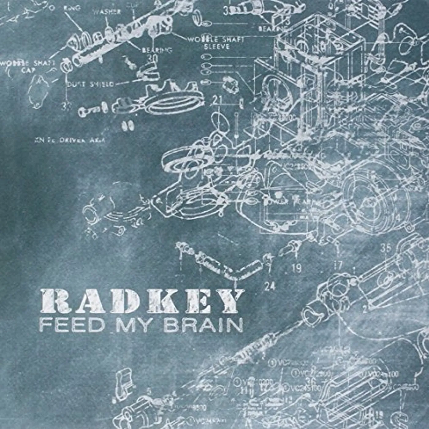 Radkey Feed My Brain Vinyl Record