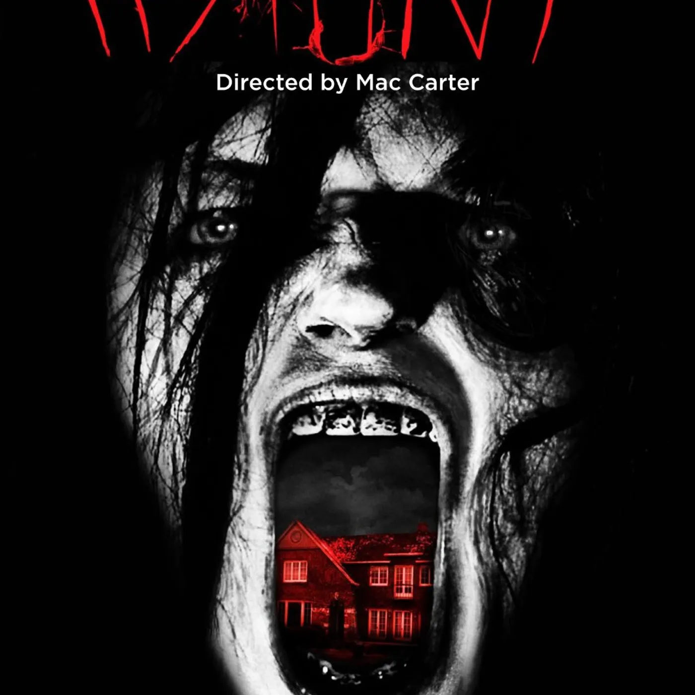 The Haunt DVD