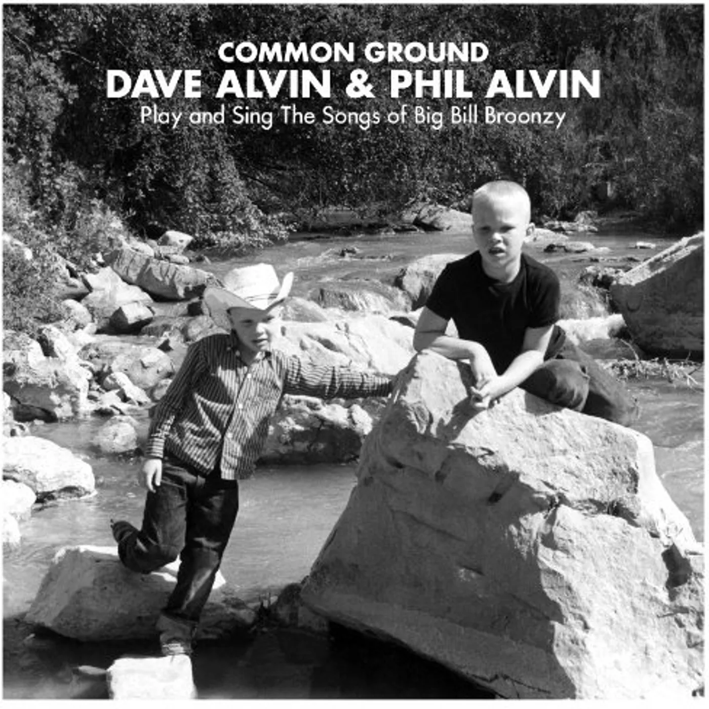 COMMON GROUND: DAVE ALVIN & PHIL ALVIN PLAY & SING Vinyl Record