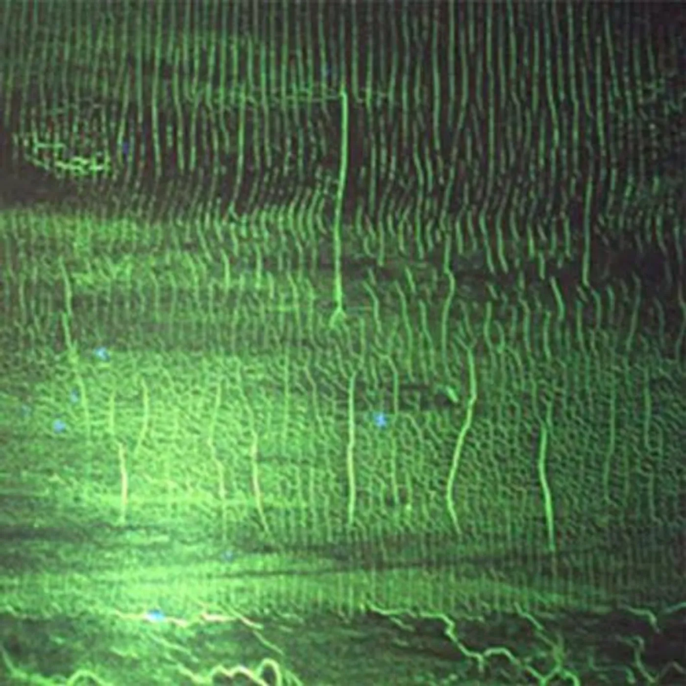 Donato Dozzy K Vinyl Record