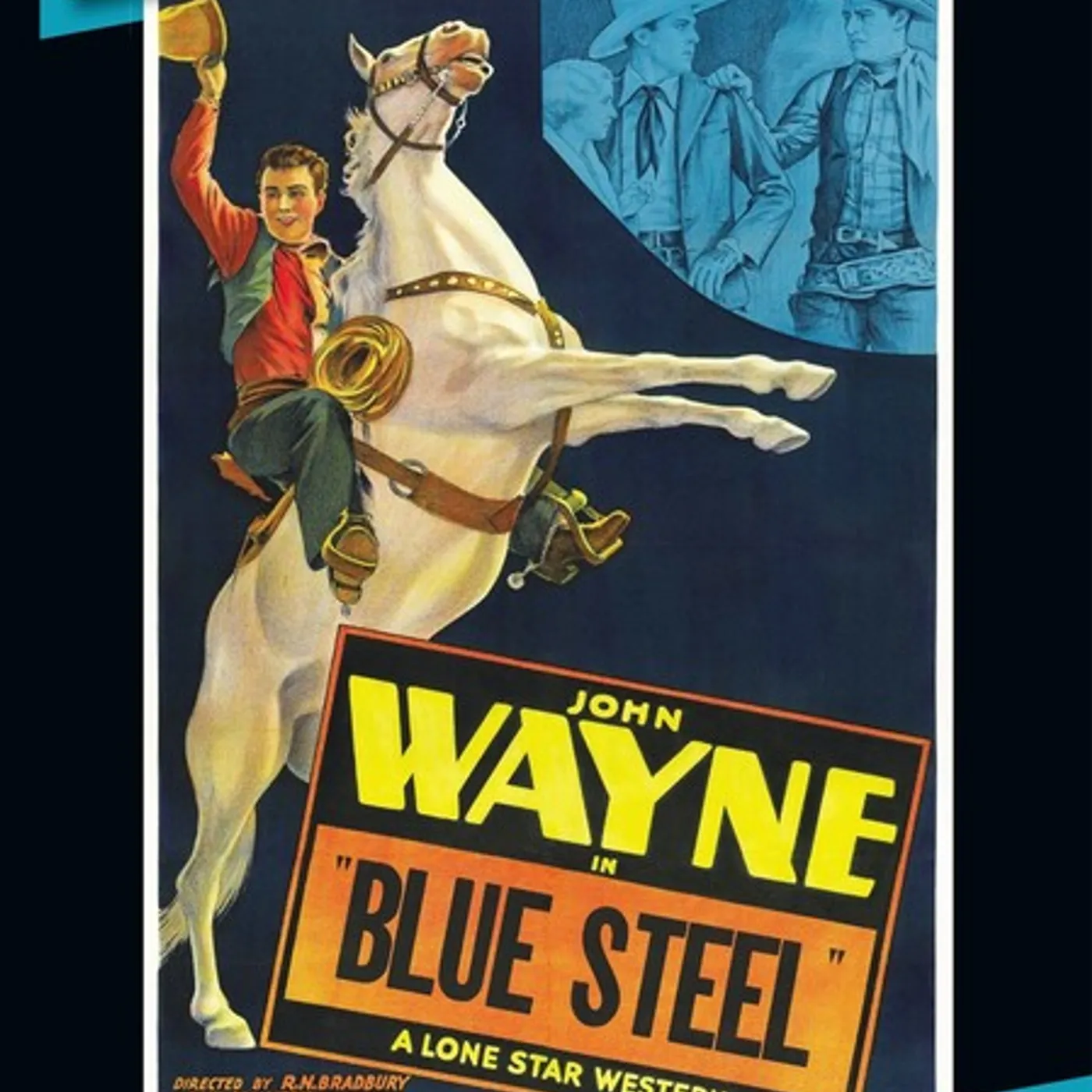 BLUE STEEL DVD