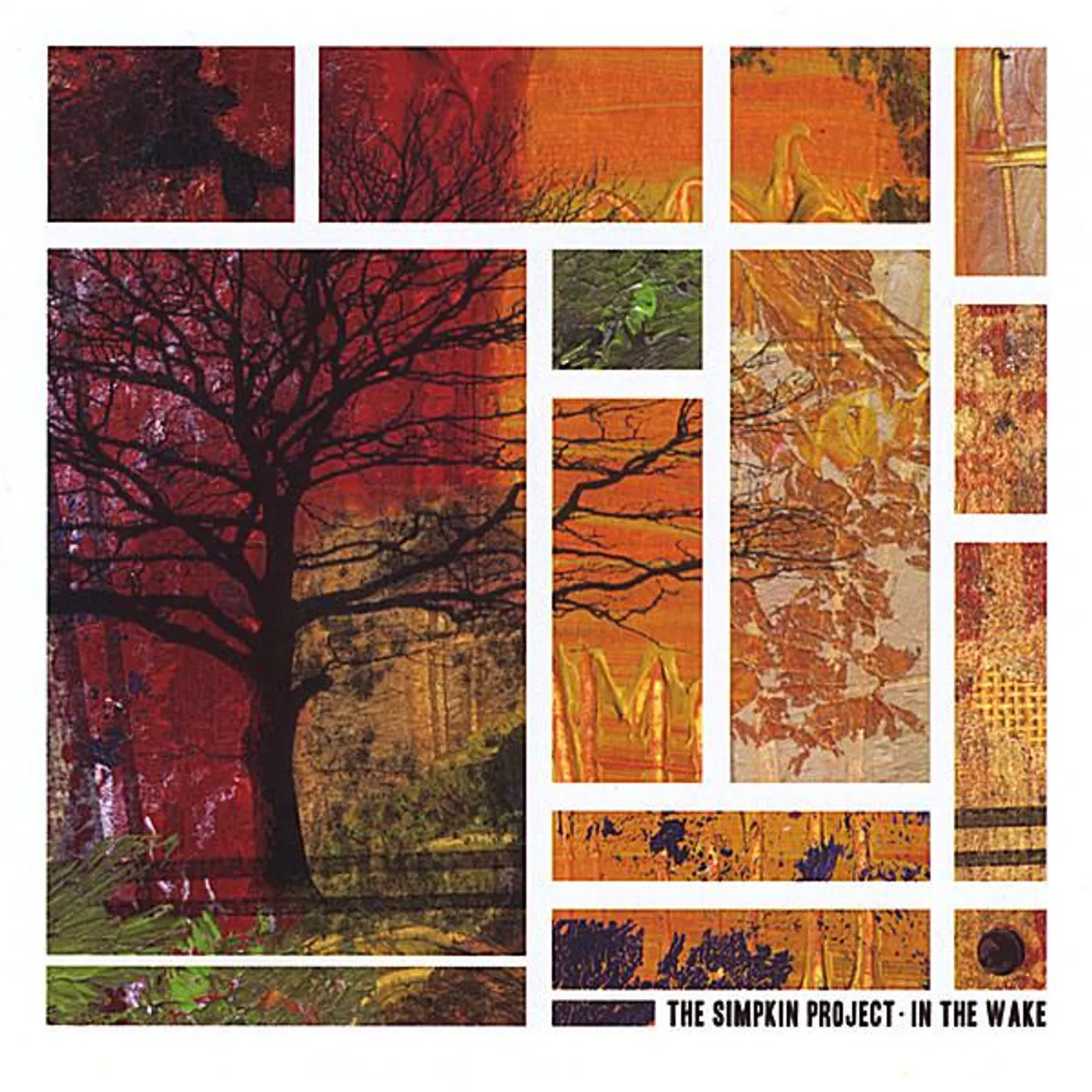 The Simpkin Project IN THE WAKE CD