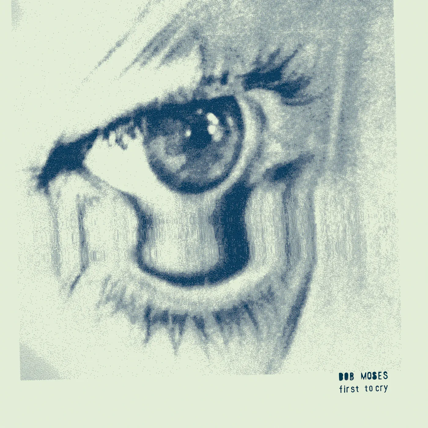 Bob Moses First To Cry Vinyl Record