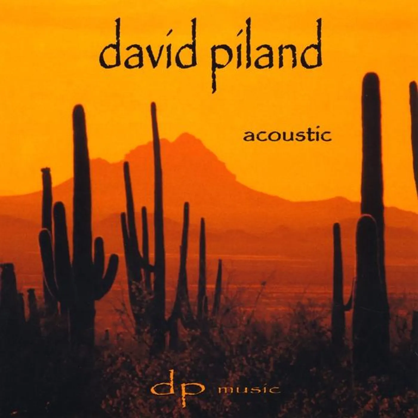 DAVID PILAND ACCOUSTIC CD