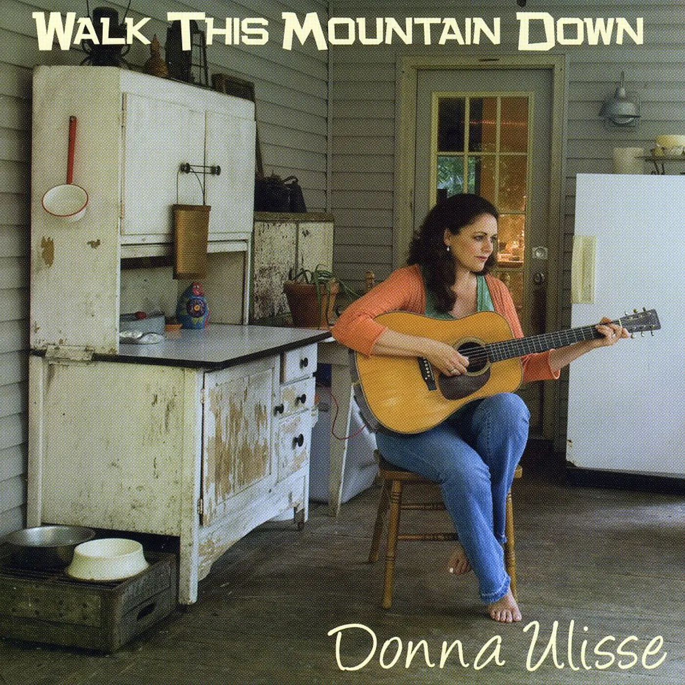 Donna Ulisse WALK THIS MOUNTAIN DOWN CD