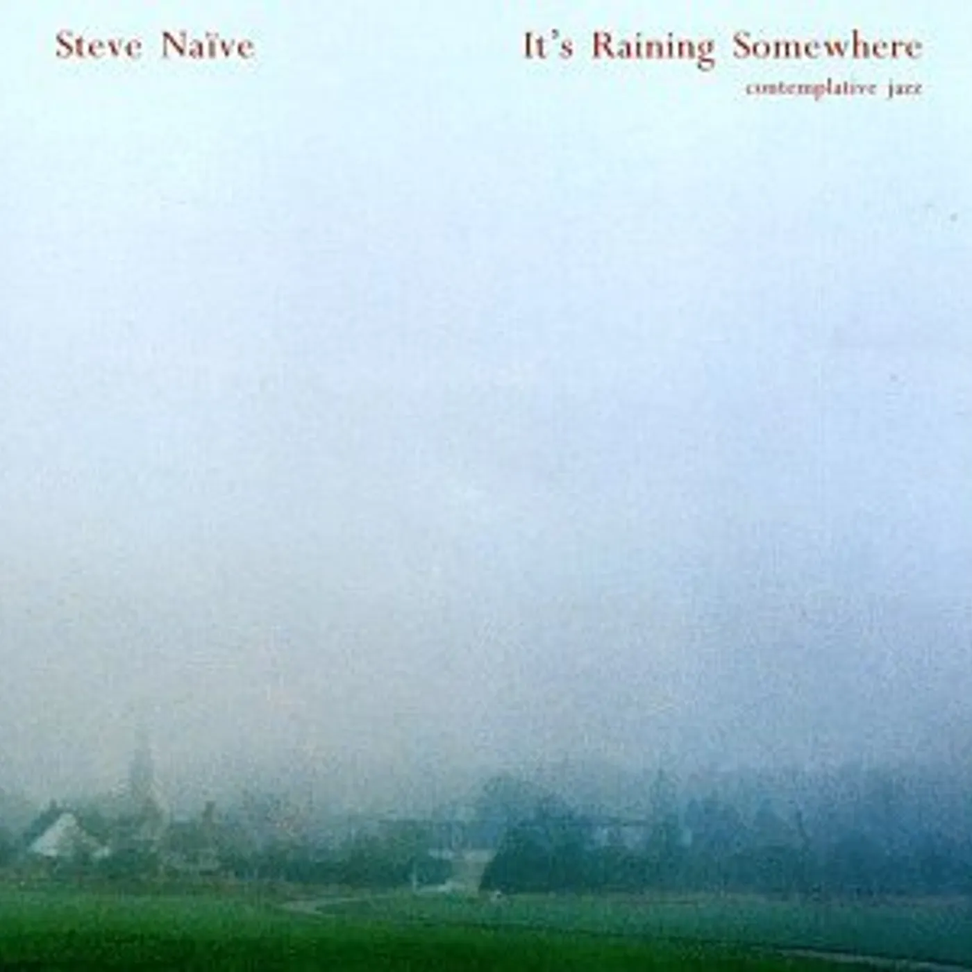 Steve Nieve IT'S RAINING SOMEWHERE CD