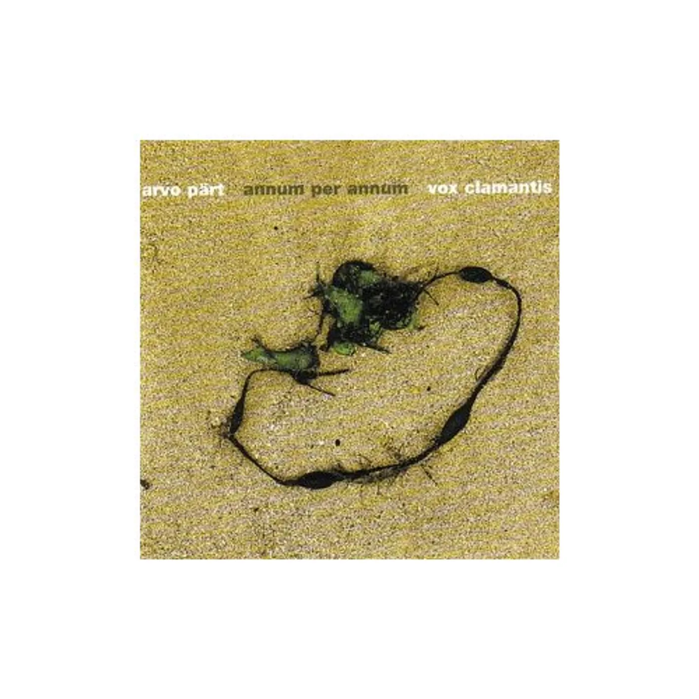 Vox Clamantis ANNUM PER ANNUM CD