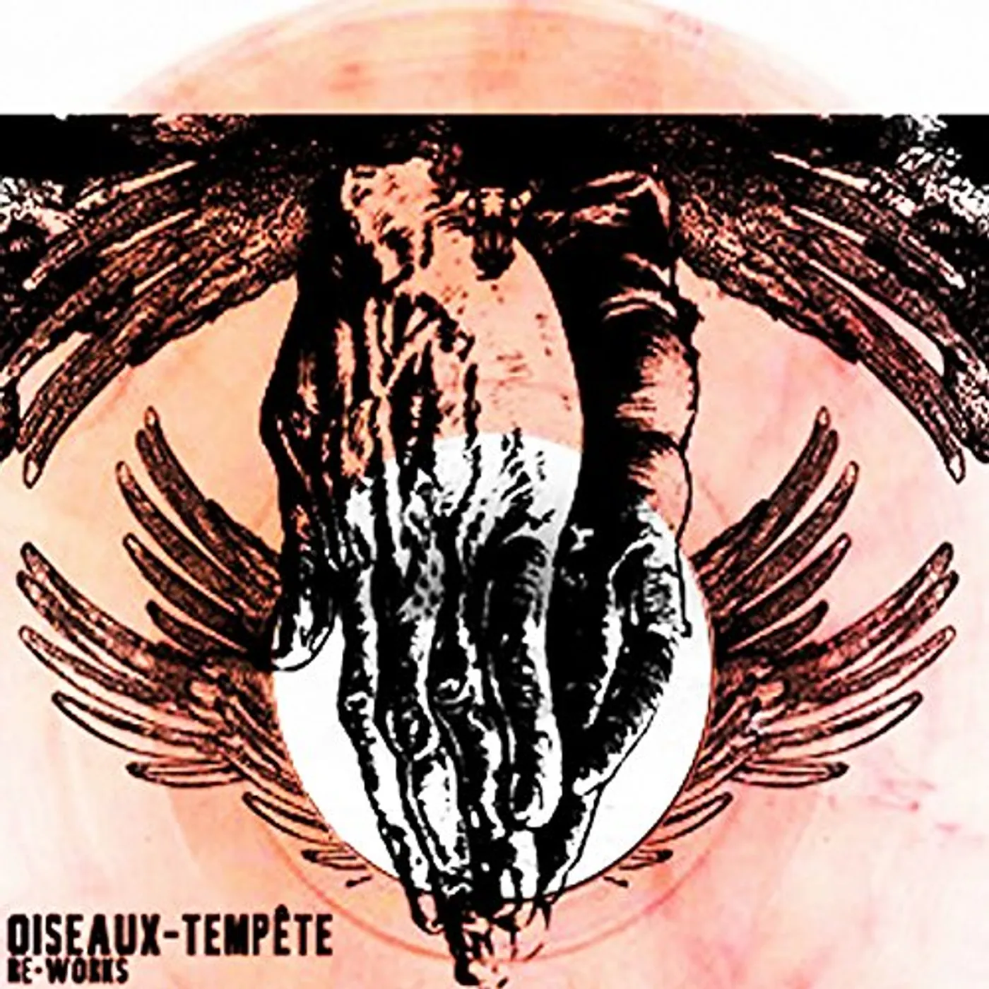 Oiseaux-Tempête Re-Works Vinyl Record