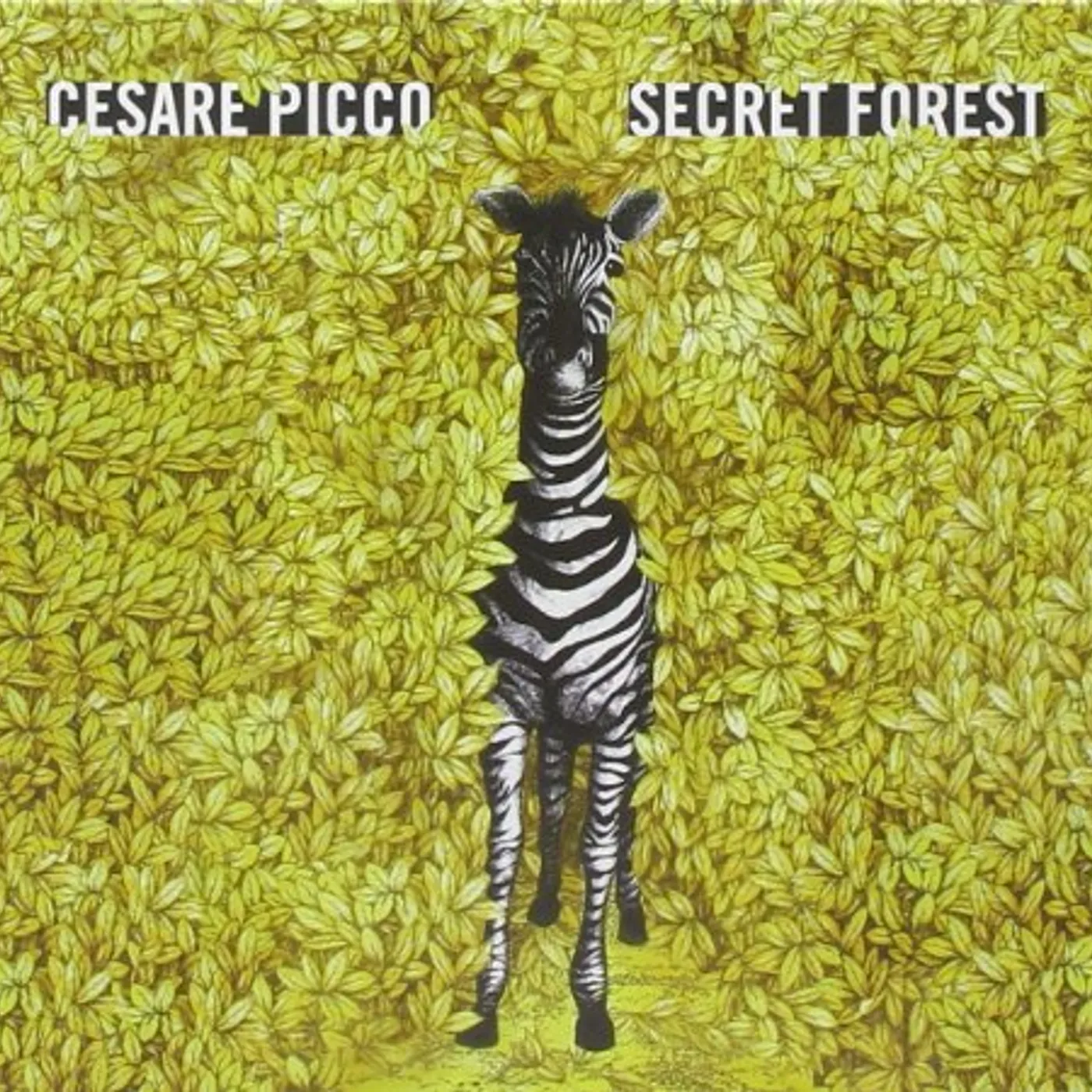 Picco SECRET FOREST CD