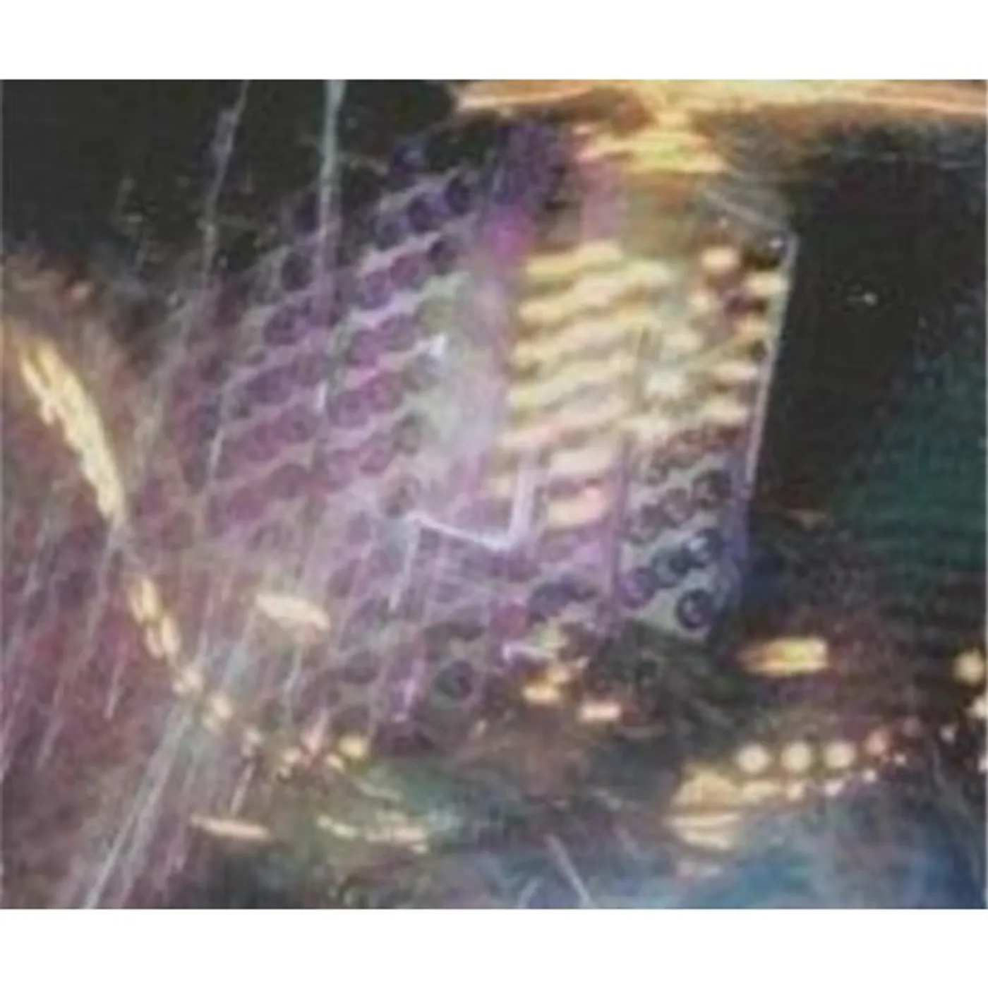 Zsolt Sőrés AHAD'S MASTER'S GARDEN III (2007-2009): HARMON CD