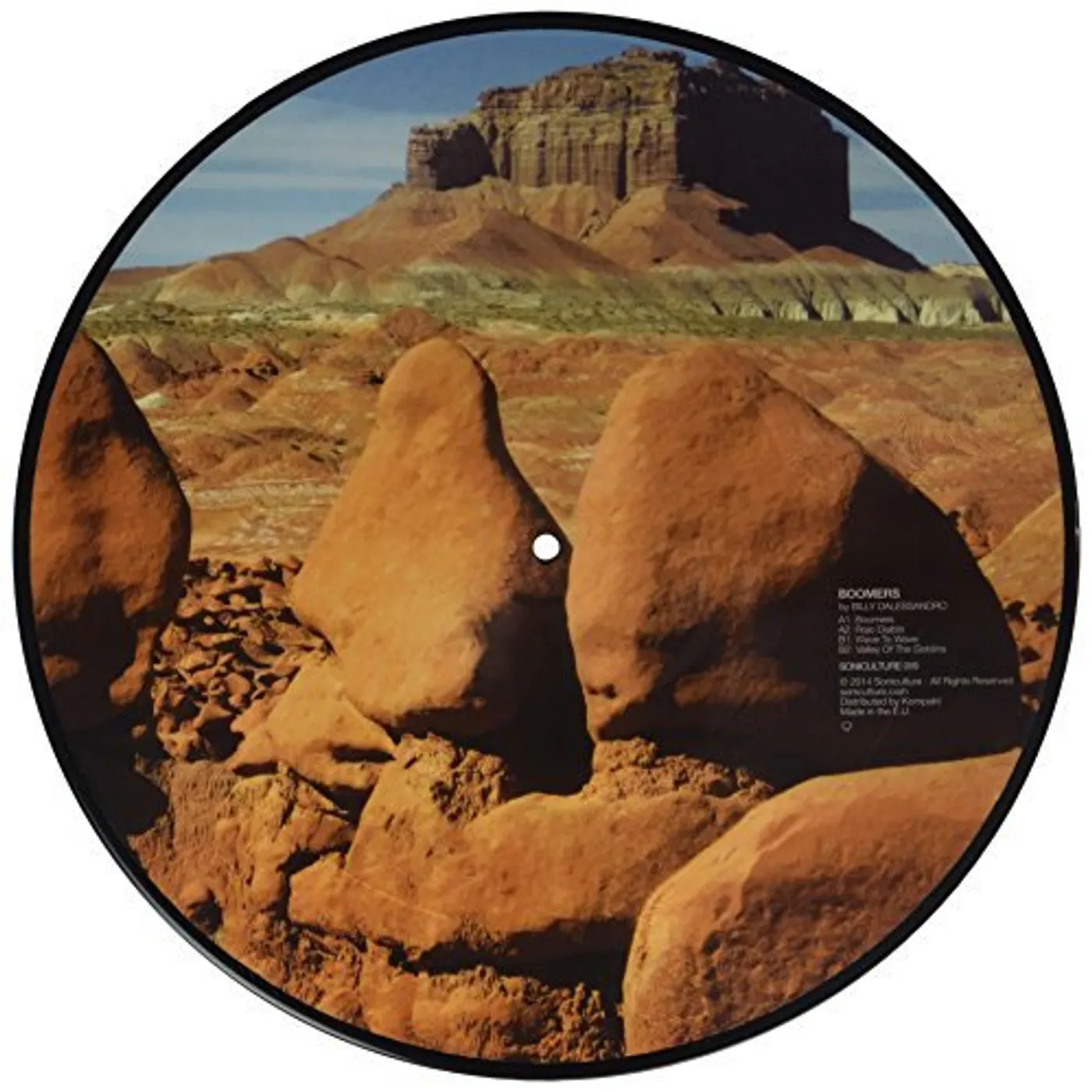 Billy Dalessandro Boomers Vinyl Record