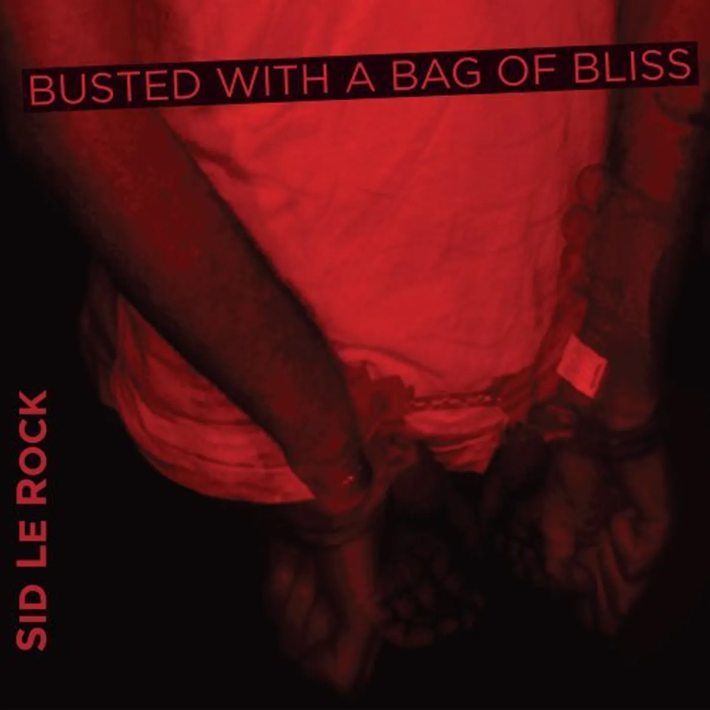 Sid Le Rock BUSTED WITH A BAG OF BLISS CD