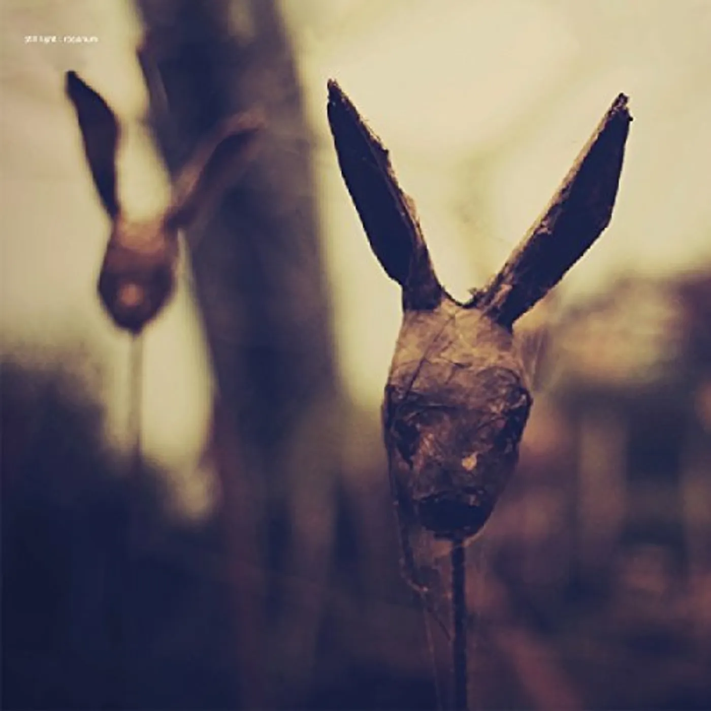 Still Light ROSARIUM CD
