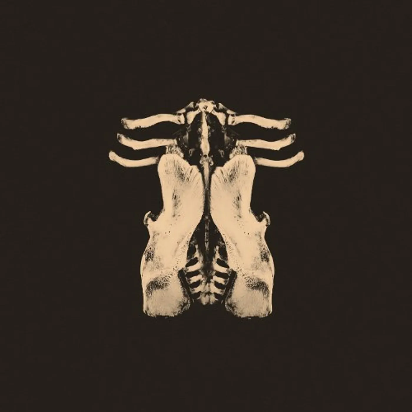 Oktoplut PANSEMENTS CD