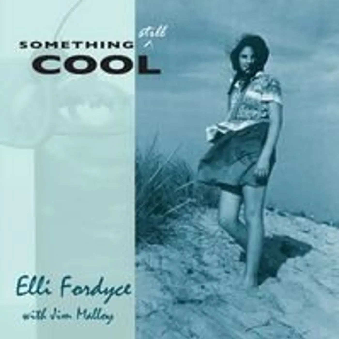 Elli Fordyce SOMETHING STILL COOL WITH JIM MALLOY CD