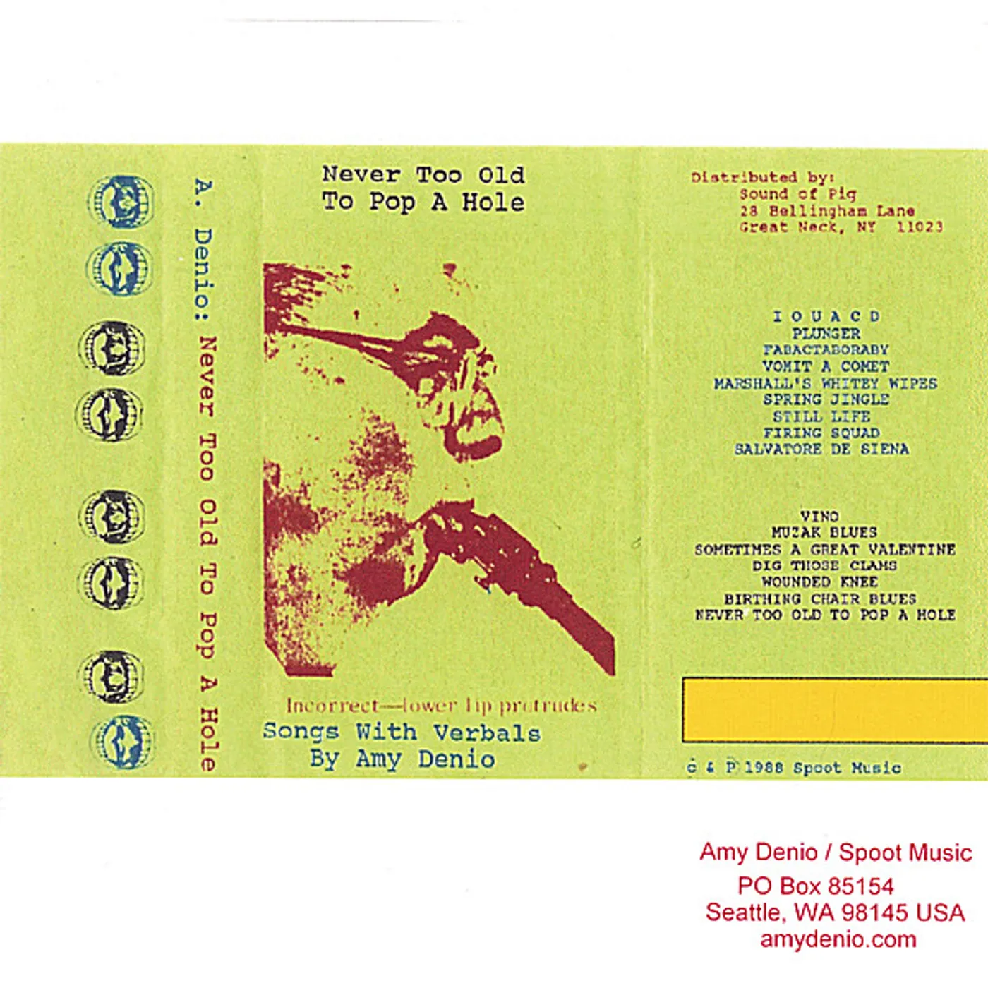 Amy Denio NEVER TOO OLD TO POP A HOLE CD