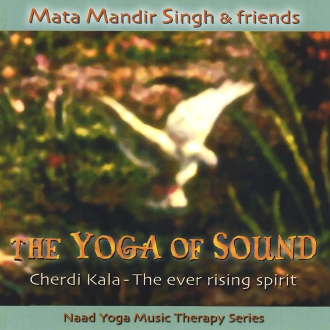 Mata Mandir Singh CHERDI KALA CD