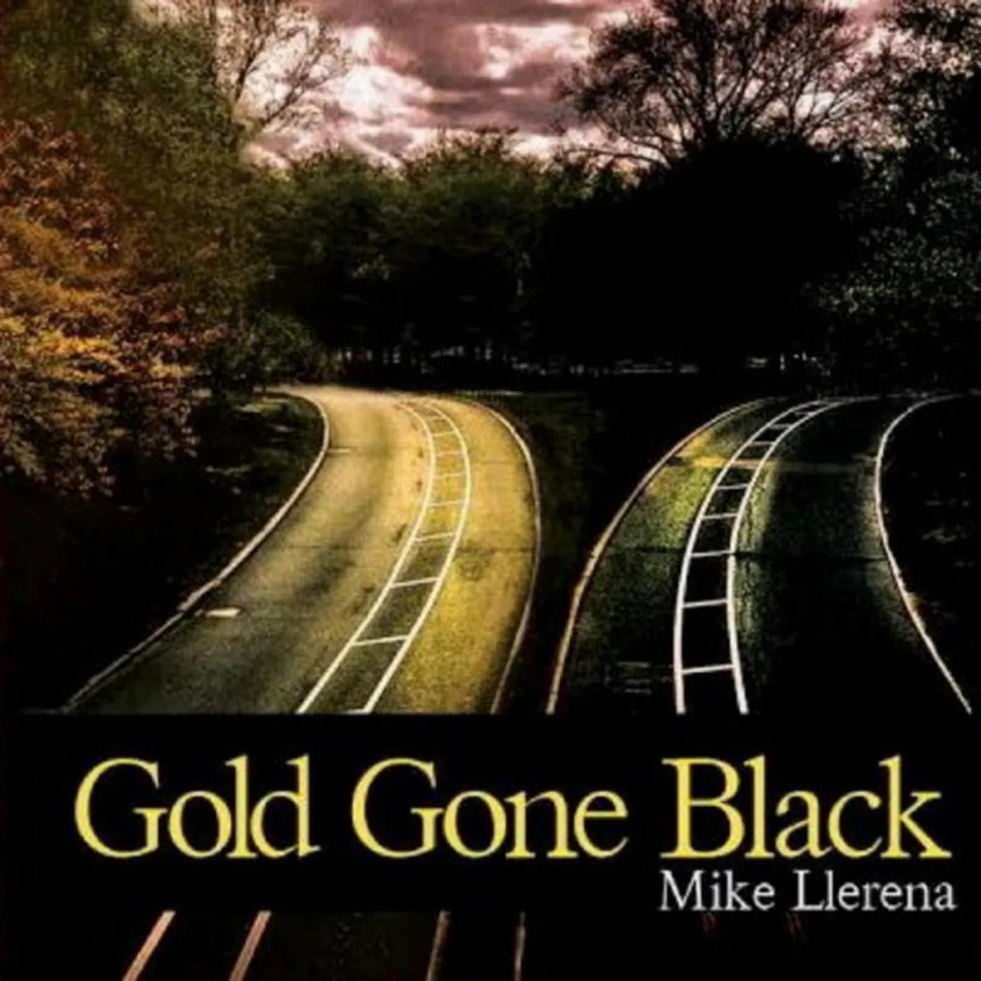 Mike Llerena GOLD GONE BLACK CD