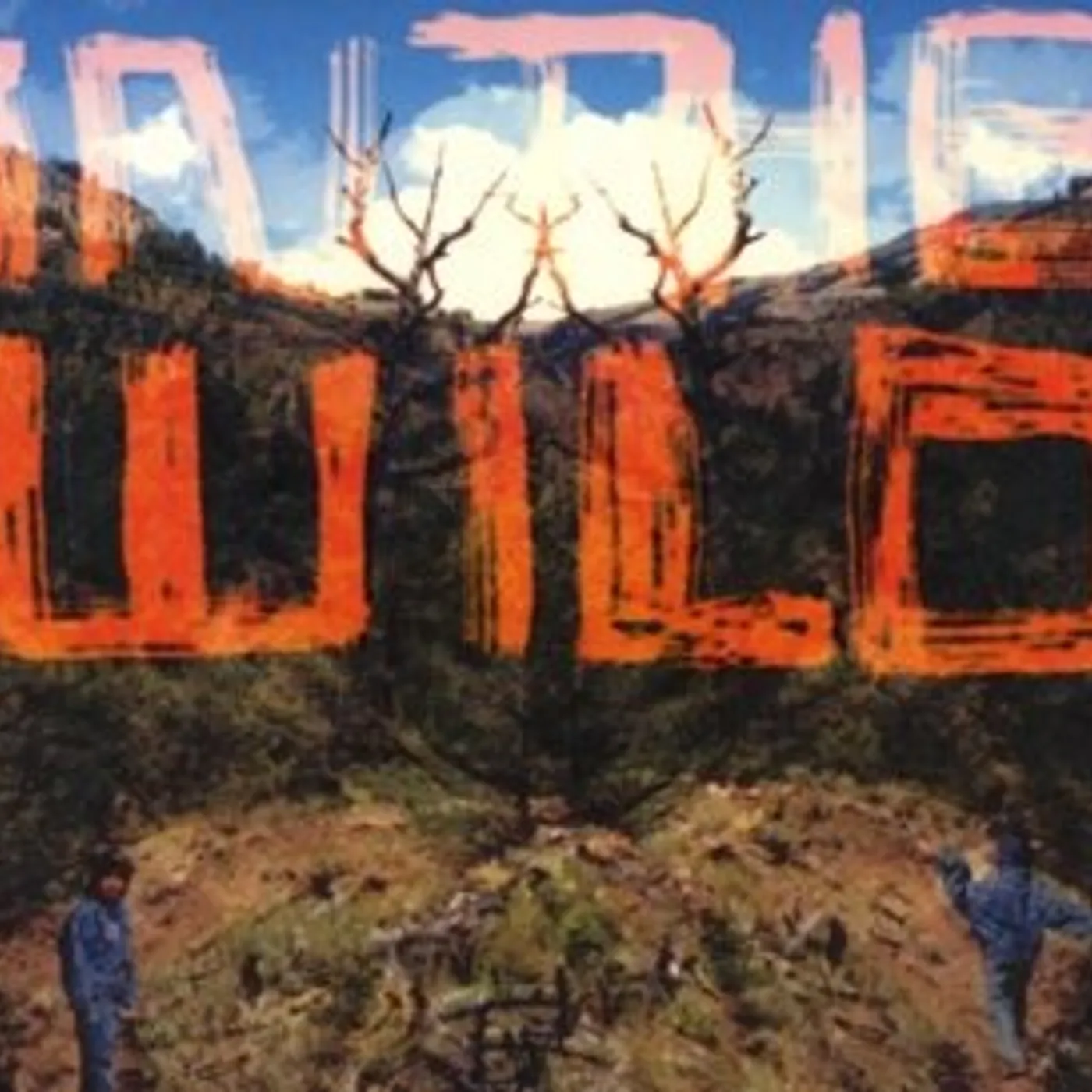 FaltyDL IN THE WILD CD