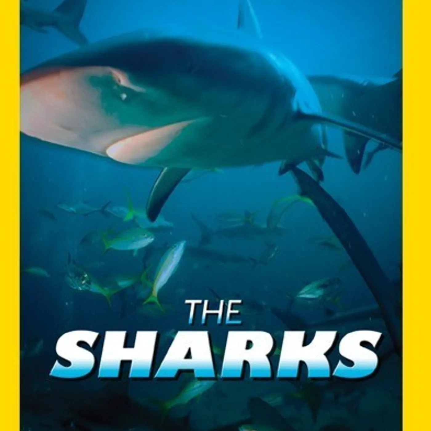 SHARKS DVD