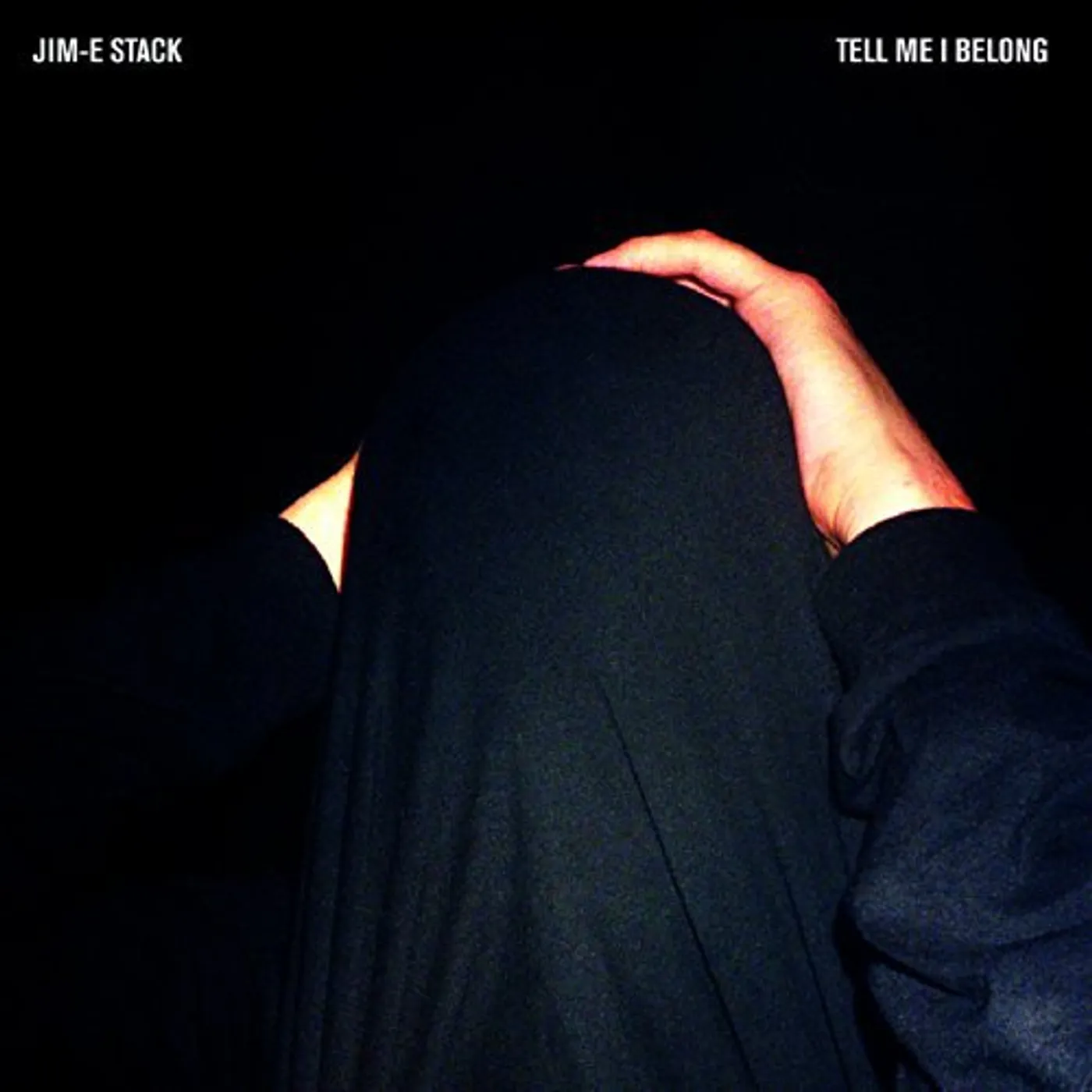 Jim-E Stack Tell Me I Belong Vinyl Record