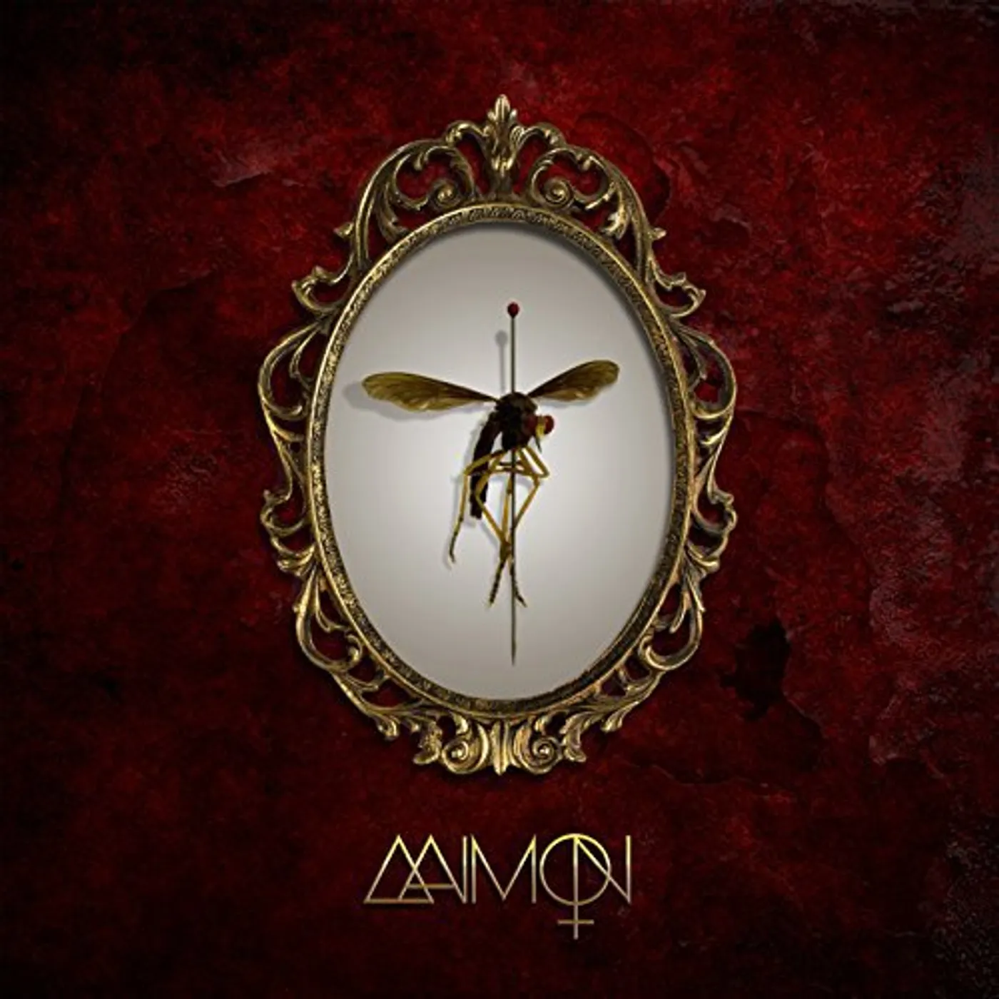 AAIMON Vinyl Record