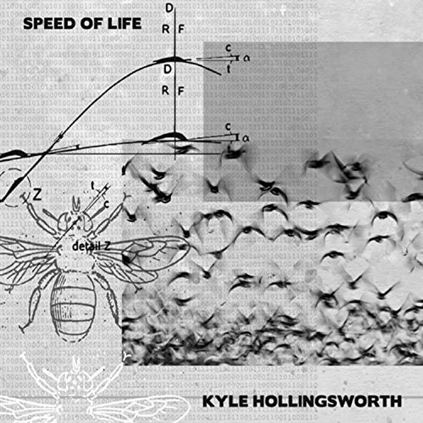 Kyle Hollingsworth SPEED OF LIFE CD